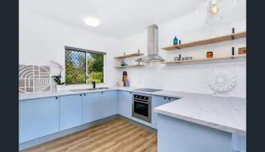 House For Lease - QLD - Bungalow - 4870 - Tidy Tropical Living Close to Everything!  (Image 2)