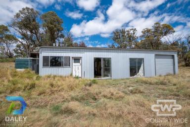 Livestock For Sale - NSW - Red Range - 2370 - 183-Acre Property with Dwelling Entitlement & Strong Grazing Potential  (Image 2)