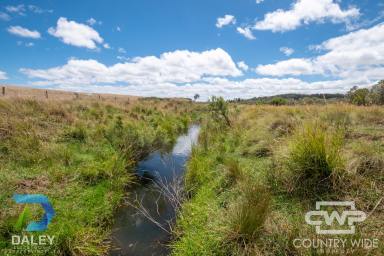 Livestock For Sale - NSW - Red Range - 2370 - 183-Acre Property with Dwelling Entitlement & Strong Grazing Potential  (Image 2)