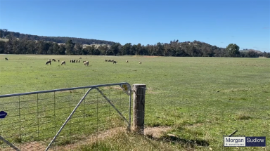 Mixed Farming For Sale - WA - Williams - 6391 - QUINDANNING - WILLIAMS LIFESTYLE  (Image 2)