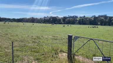 Mixed Farming For Sale - WA - Williams - 6391 - QUINDANNING - WILLIAMS LIFESTYLE  (Image 2)
