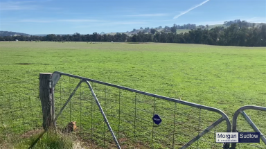 Mixed Farming For Sale - WA - Williams - 6391 - QUINDANNING - WILLIAMS COUNTRY LIFESTYLE (Image 2)