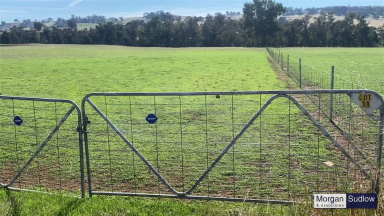 Mixed Farming For Sale - WA - Williams - 6391 - QUINDANNING - WILLIAMS COUNTRY LIFESTYLE (Image 2)