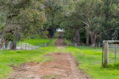 Other (Rural) For Sale - WA - Warner Glen - 6288 - Lifestyle, Location & Opportunity  (Image 2)