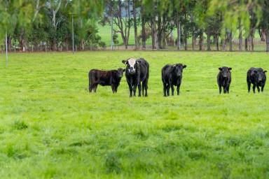 Other (Rural) For Sale - WA - Warner Glen - 6288 - Lifestyle, Location & Opportunity  (Image 2)