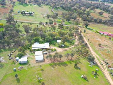 House For Sale - NSW - Young - 2594 - Family Home on 7acs* With Great Shedding Only an 8 Minute* Drive to the CBD  (Image 2)