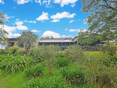 House For Sale - NSW - Young - 2594 - Family Home on 7acs* With Great Shedding Only an 8 Minute* Drive to the CBD  (Image 2)