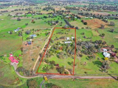 House For Sale - NSW - Young - 2594 - Family Home on 7acs* With Great Shedding Only an 8 Minute* Drive to the CBD  (Image 2)