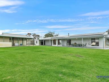Lifestyle For Sale - SA - Springton - 5235 - Ultimate Barossa-Fringe Acreage: 100+ acres of freedom, country views and modern homestead living. (Image 2)