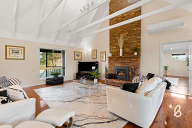 Lifestyle For Sale - NSW - Glendon Brook - 2330 - Private Acreage Retreat | 10 acres (Image 2)