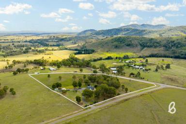 Lifestyle For Sale - NSW - Glendon Brook - 2330 - Private Acreage Retreat | 10 acres (Image 2)