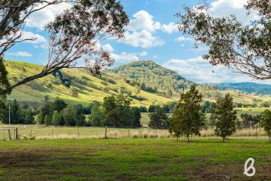 Lifestyle For Sale - NSW - Glendon Brook - 2330 - Private Acreage Retreat | 10 acres (Image 2)