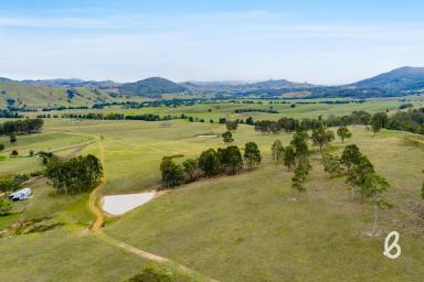 Other (Rural) For Sale - NSW - Glendon Brook - 2330 - Prime Rural Parcel Ready To Build | 40 Ha (100 acres approx.) (Image 2)