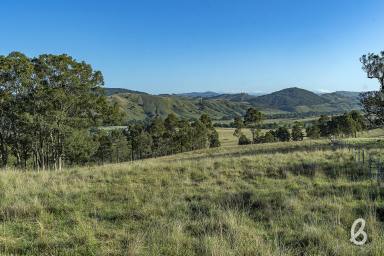 Other (Rural) For Sale - NSW - Glendon Brook - 2330 - Prime Rural Parcel Ready To Build | 40 Ha (100 acres approx.)  (Image 2)