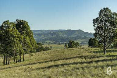 Other (Rural) For Sale - NSW - Glendon Brook - 2330 - Prime Rural Parcel Ready To Build | 40 Ha (100 acres approx.)  (Image 2)