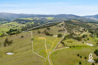 Other (Rural) For Sale - NSW - Glendon Brook - 2330 - Prime Rural Parcel Ready To Build | 40 Ha (100 acres approx.) (Image 2)