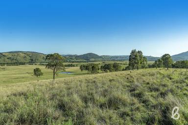 Other (Rural) Sold - NSW - Glendon Brook - 2330 - Prime Rural Parcel Ready To Build | 40 Ha (100 acres approx.)  (Image 2)