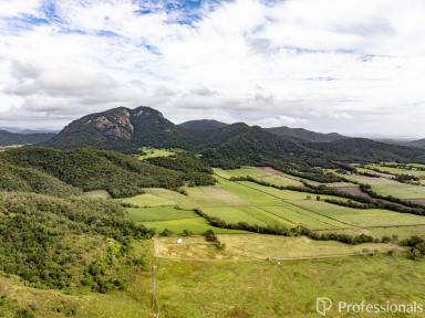 Cropping For Sale - QLD - Mount Jukes - 4740 - RURAL LIFESTYLE & FARMING OPPORTUNITY! - 188.95 ACRES (Image 2)