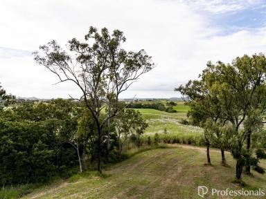 Cropping For Sale - QLD - Mount Jukes - 4740 - RURAL LIFESTYLE & FARMING OPPORTUNITY! - 188.95 ACRES (Image 2)