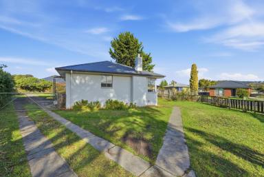 House For Lease - TAS - Clarendon Vale - 7019 - Light-Filled Home in the Heart of Clarendon Vale  (Image 2)