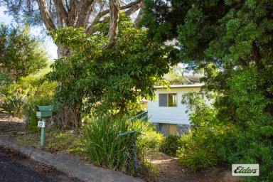 House For Sale - NSW - Tathra - 2550 - Renovate Or Rebuild (Image 2)