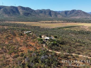 Other (Rural) For Sale - QLD - Mutchilba - 4872 - PRODUCTIVE RURAL HOLDING WITH HORTICULTURE, GRAZING & WATER SECURITY  (Image 2)