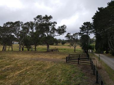 Other (Rural) For Sale - NSW - Bundanoon - 2578 - 5 Ac lots, subvisible into 1 Ac lots - from $1.7m (Image 2)