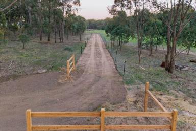 Residential Block For Sale - VIC - Mandurang South - 3551 - Perfect Acreage in Mandurang South  (Image 2)