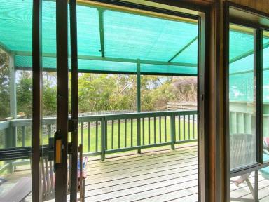 House For Sale - VIC - Waratah Bay - 3959 - HEAR THE WAVES CRASH & CREATE ENDLESS FAMILY MEMORIES - BEACH HOUSE 200 METRES TO THE WATER (Image 2)