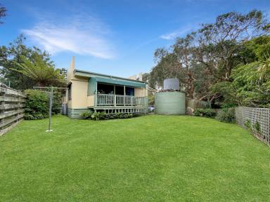 House For Sale - VIC - Waratah Bay - 3959 - HEAR THE WAVES CRASH & CREATE ENDLESS FAMILY MEMORIES - BEACH HOUSE 200 METRES TO THE WATER (Image 2)