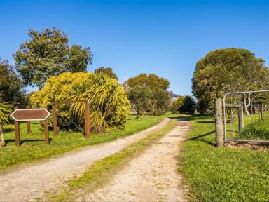 Other (Residential) For Sale - VIC - Sandy Point - 3959 - Exceptional Coastal Lifestyle with Space, Comfort & Stunning Views! (Image 2)