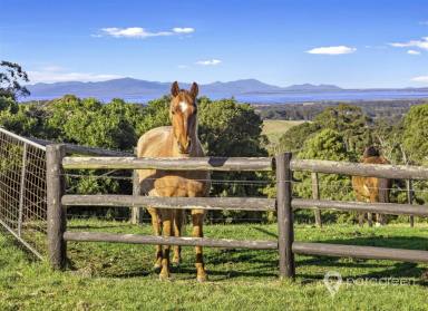 Other (Residential) For Sale - VIC - Foster - 3960 - Panoramic Views and Country Charm at 'Findlatree Cottage'  (Image 2)