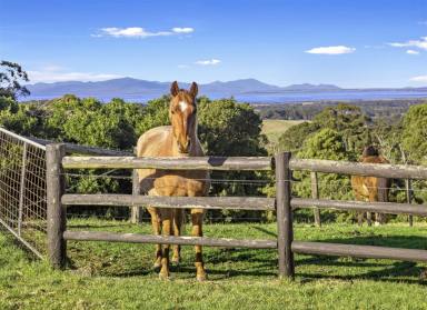 Other (Residential) For Sale - VIC - Foster - 3960 - Panoramic Views and Country Charm at 'Findlatree Cottage' (Image 2)