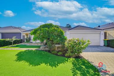 House For Sale - WA - Harrisdale - 6112 - Beautiful family home in Vertu Estate  (Image 2)