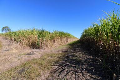 Horticulture For Sale - QLD - Maroondan - 4671 - 65HA BLACK SOIL FARM - 2 WATER SOURCES (Image 2)