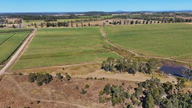 Horticulture For Sale - QLD - Maroondan - 4671 - 65HA BLACK SOIL FARM - 2 WATER SOURCES (Image 2)