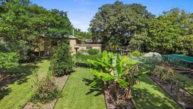 House For Sale - QLD - Pomona - 4568 - Noosa Hinterland Retreat (Image 2)