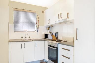 Unit For Lease - NSW - Wollongong - 2500 - 2 BED CBD UNIT (Image 2)