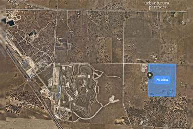 Residential Block For Sale - SA - Tailem Bend - 5260 - 75 Hectares Just 1.5km From The Bend Motorsport Park  (Image 2)