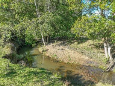 Lifestyle Auction - NSW - Lansdowne - 2430 - Country Living with Space, History & Stunning Escarpment Views  (Image 2)
