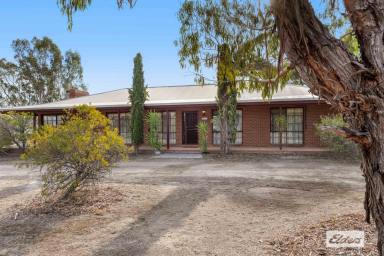House Sold - VIC - Stawell - 3380 - Two And A Half Serene Acres Right On The Edge Of Town  (Image 2)
