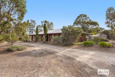 House Sold - VIC - Stawell - 3380 - Two And A Half Serene Acres Right On The Edge Of Town  (Image 2)