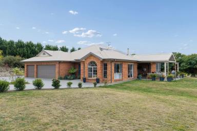 House For Sale - NSW - Murrumbateman - 2582 - The One You've Been Waiting For - 388sqm of Turnkey Country Elegance  (Image 2)