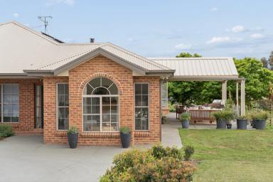 House Auction - NSW - Murrumbateman - 2582 - Ride, Walk & Cycle from Your Doorstep - A Country Lifestyle to Treasure  (Image 2)