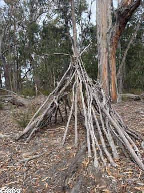 Other (Rural) For Sale - VIC - Stradbroke - 3851 - "Hundred Acre Woods"  (Image 2)