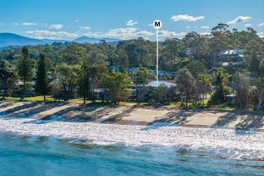 House For Sale - NSW - Surfside - 2536 - Absolute Beachfront Living  (Image 2)