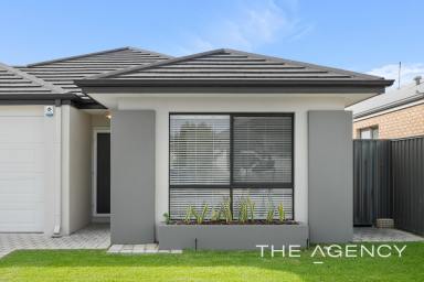 House For Sale - WA - Treeby - 6164 - Spacious Family Living with All the Extras  (Image 2)