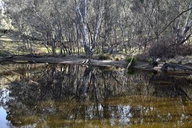 Residential Block For Sale - NSW - Gundagai - 2722 - How's the serenity! (Image 2)