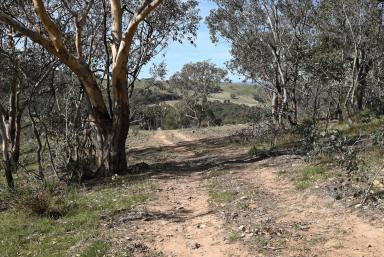 Residential Block For Sale - NSW - Gundagai - 2722 - How's the serenity! (Image 2)