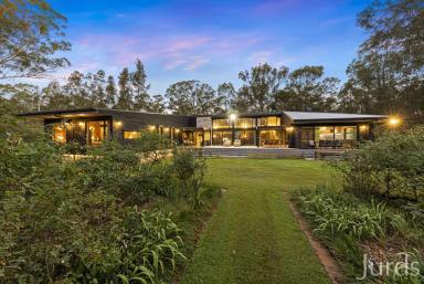 Lifestyle For Sale - NSW - Pokolbin - 2320 - A Grande Country Estate in the Heart of Pokolbin Wine Country  (Image 2)